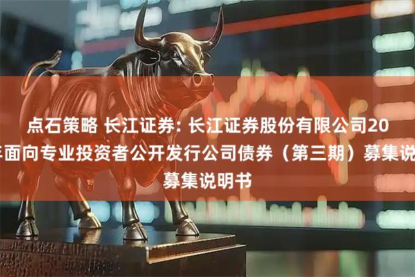 点石策略 长江证券: 长江证券股份有限公司2025年面向专业投资者公开发行公司债券（第三期）募集说明书